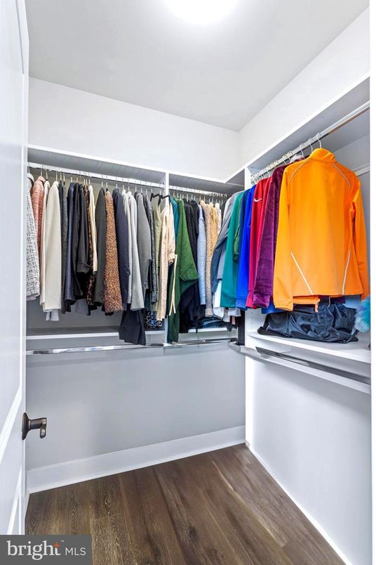 Interior, Walk-in Closets, Wood Texture Flooring