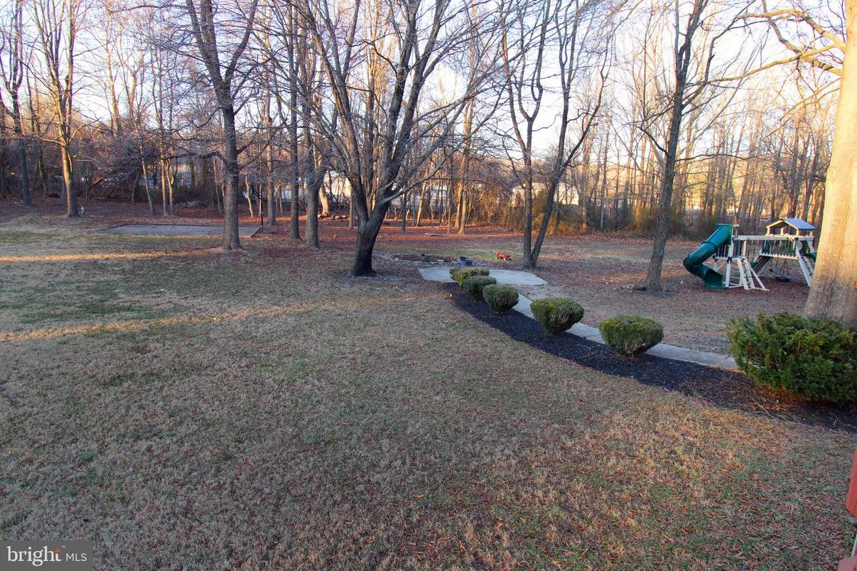 Backyard, Exterior, Playground