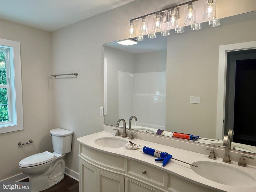 Bathroom, Dual Sink Vanities, Interior, Wood Texture Flooring
