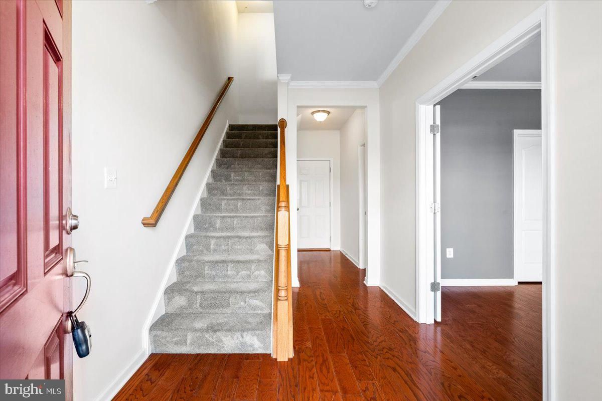 Interior, Wood Texture Flooring