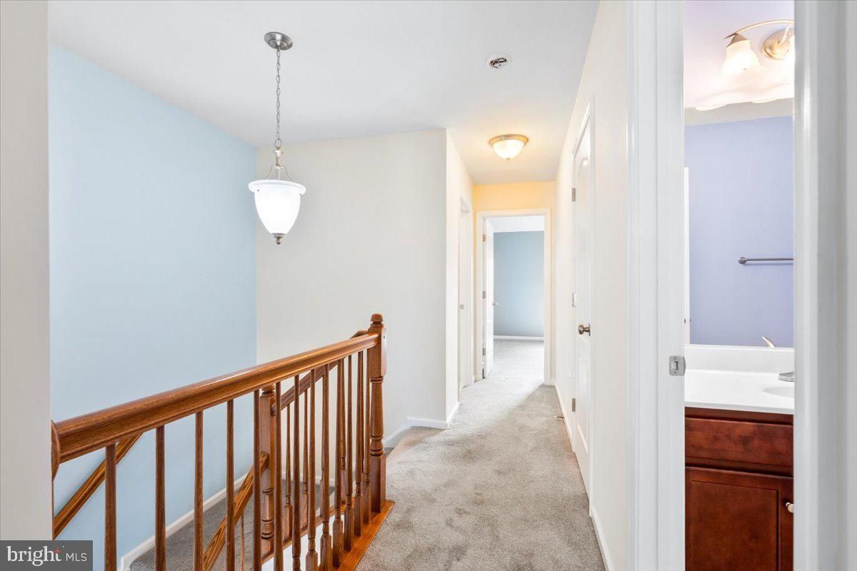 Interior, Pendant Lights