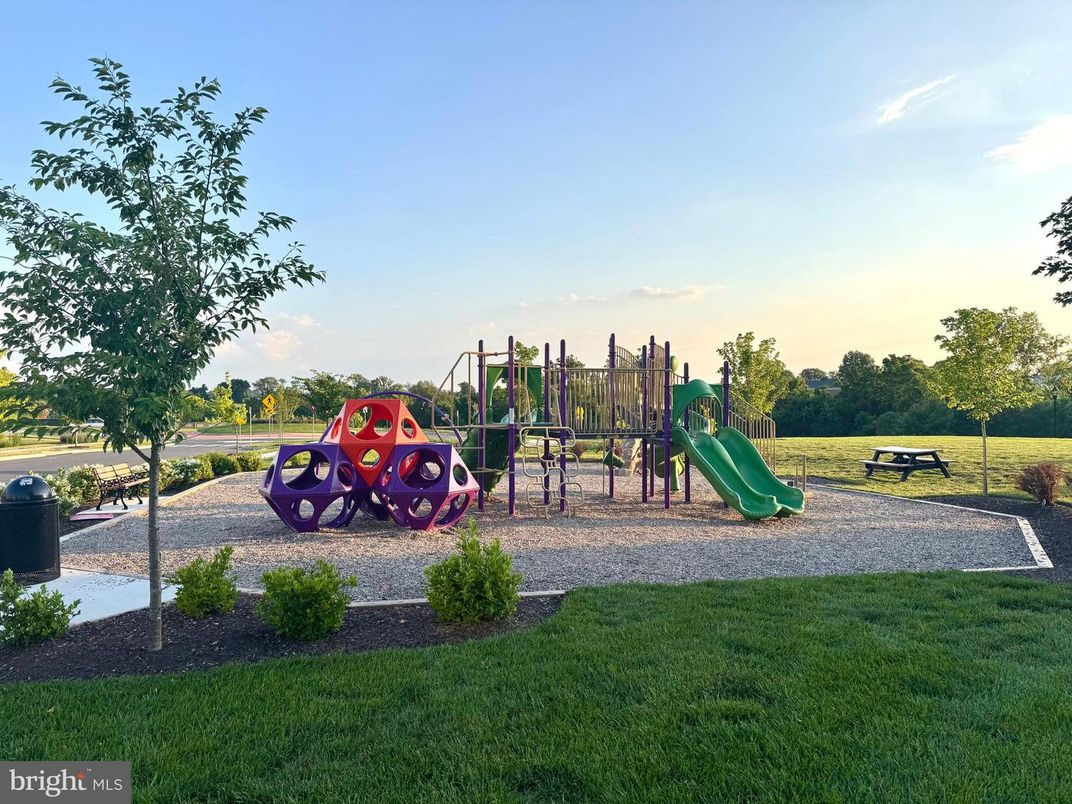 Backyard, Exterior, Playground
