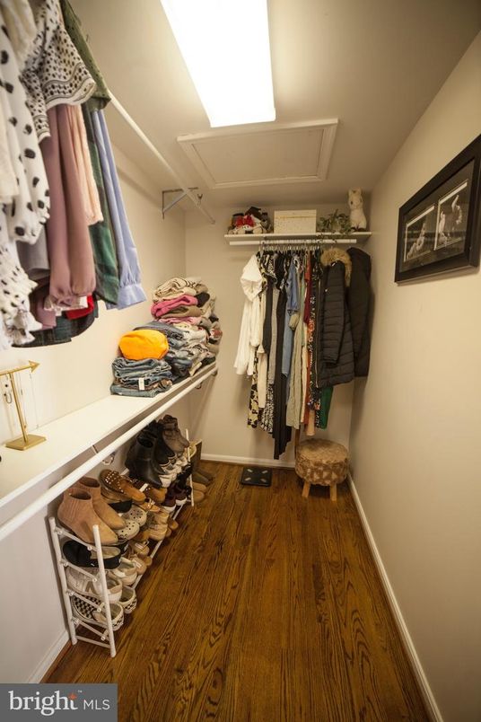 Interior, Walk-in Closets, Wood Texture Flooring