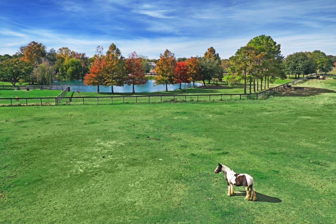 Backyard, Exterior, Tennis Courts