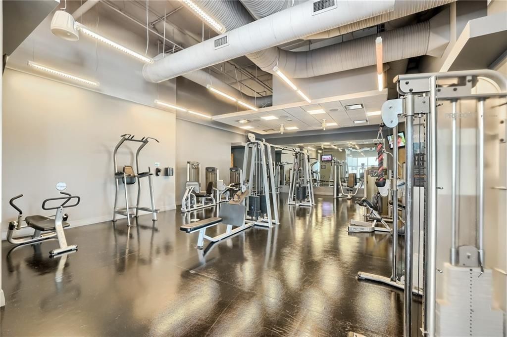 Fitness Equipment, Gym, Interior