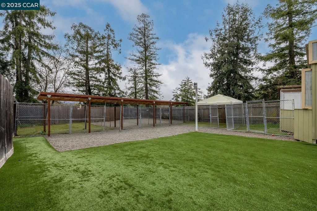 Backyard, Exterior, Playground
