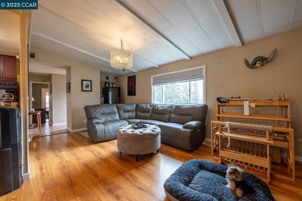 Chandelier, Interior, Living room, Wood Texture Flooring