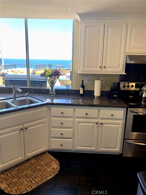 Interior, Kitchen, Stainless Steel Appliances, Water, Wood Texture Flooring