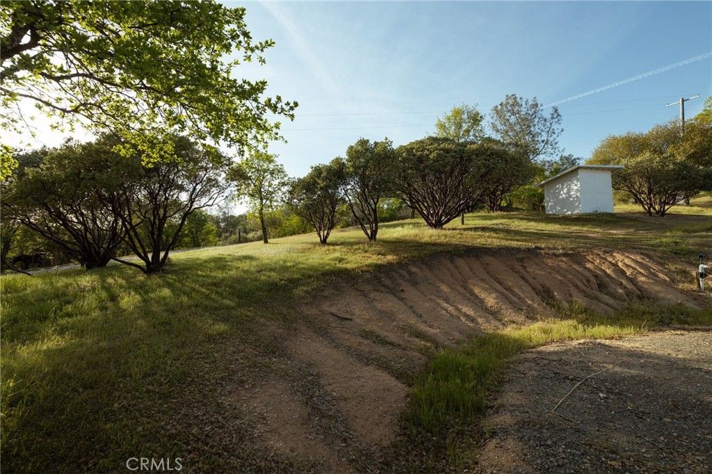 Backyard, Detached Garage, Exterior