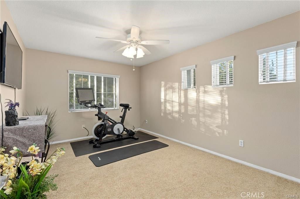 Fitness Equipment, Interior