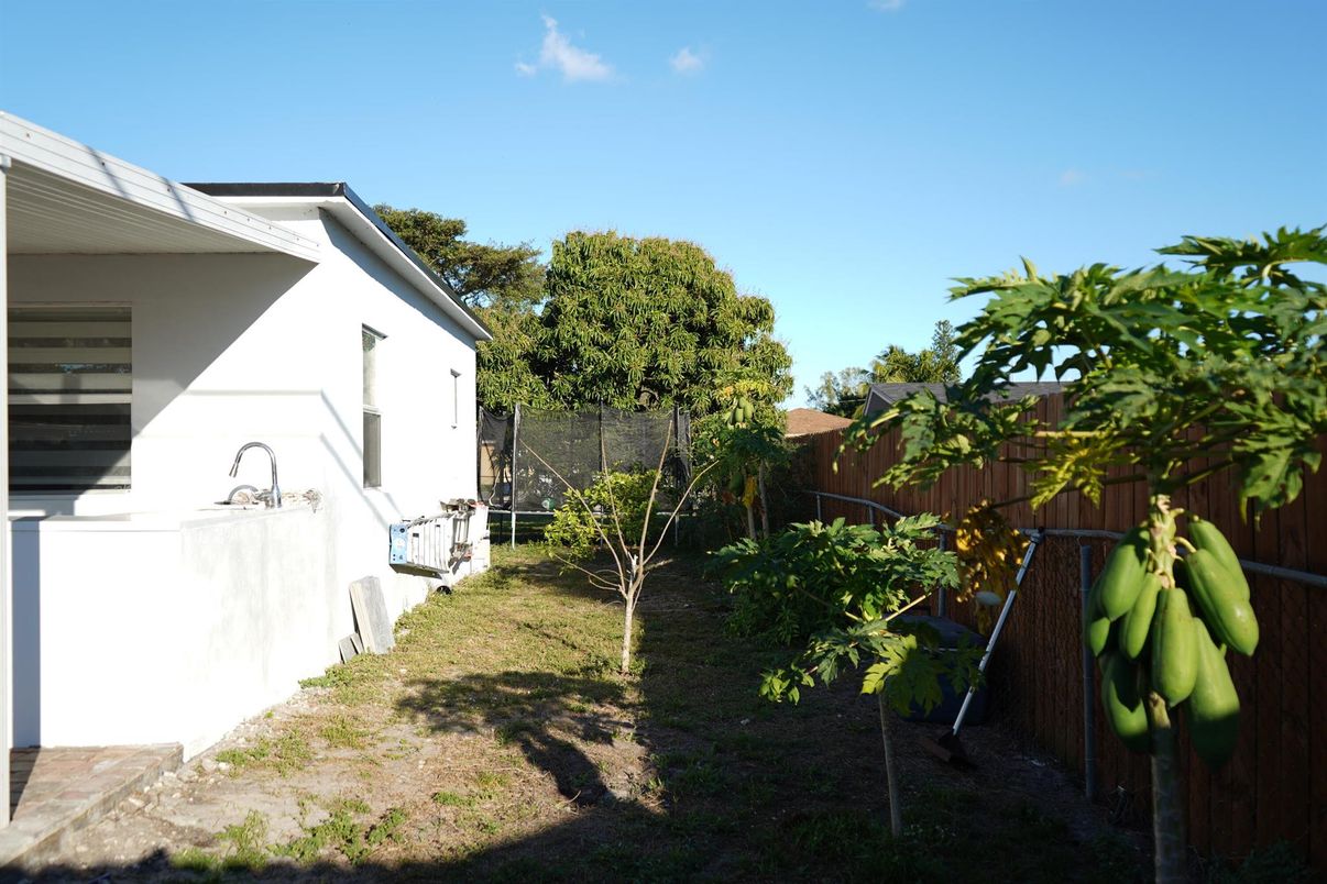 Backyard, Exterior
