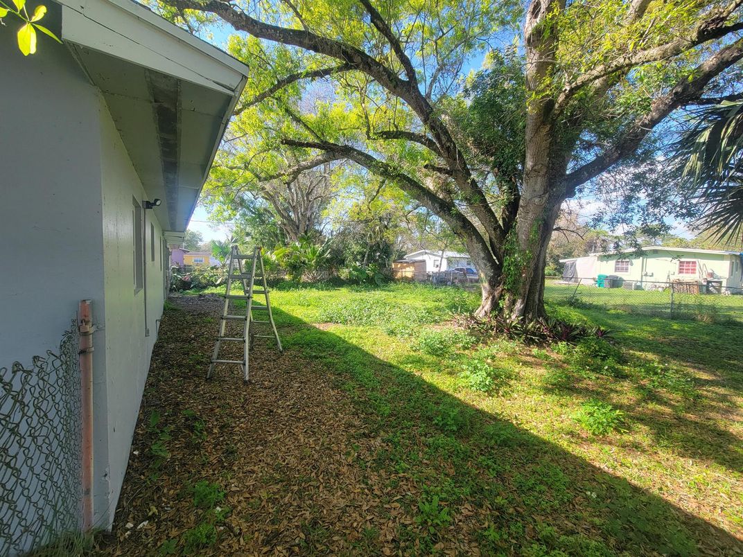 Backyard, Exterior