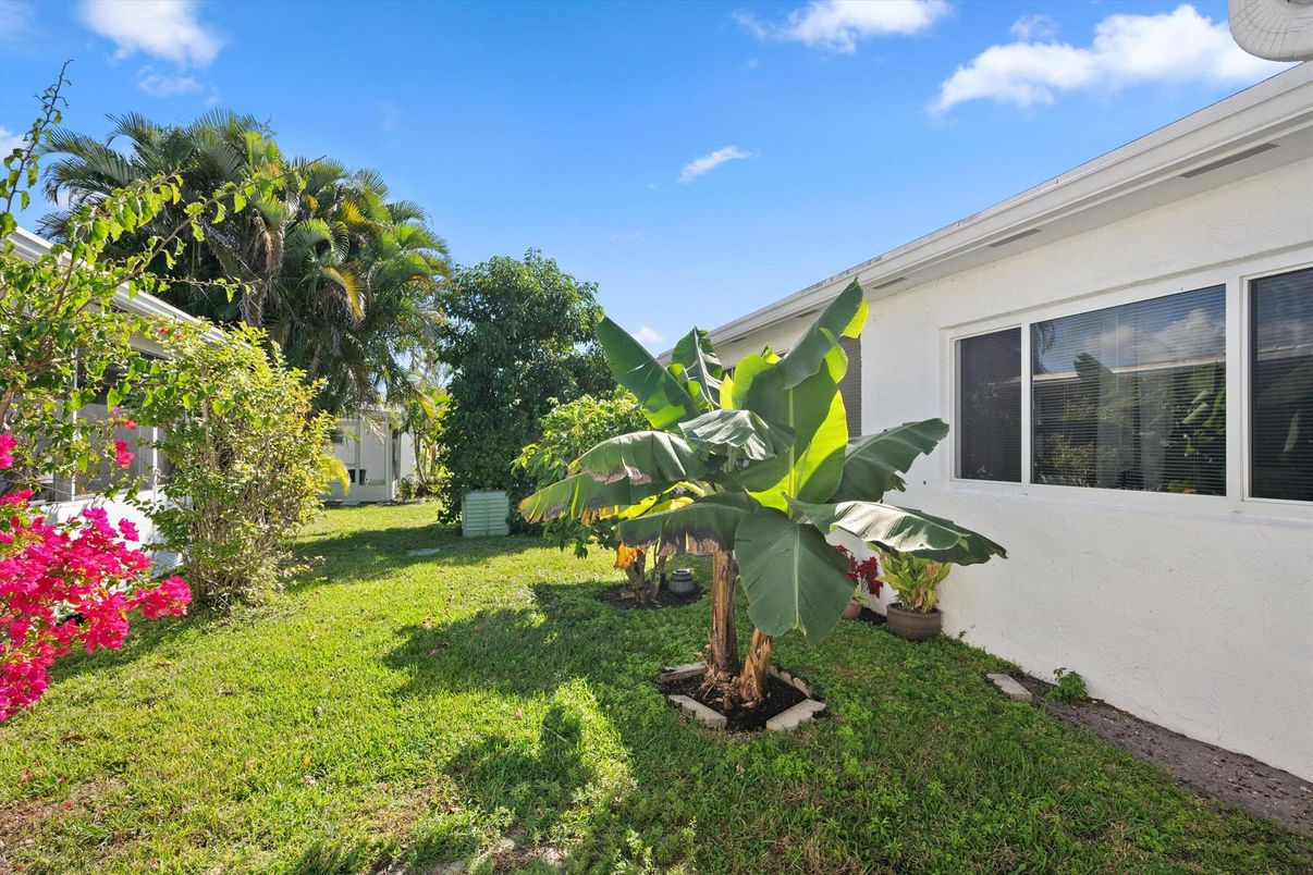 Backyard, Exterior