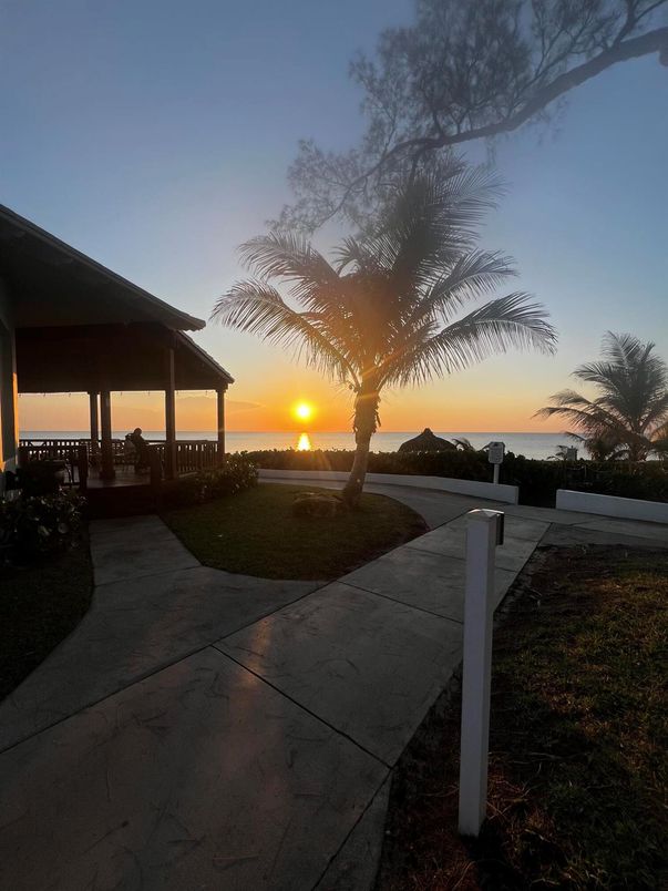 Backyard, Exterior, Water