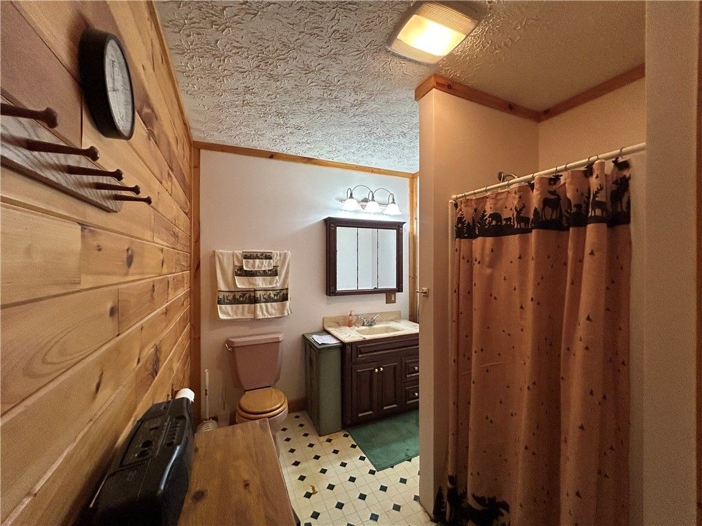 Bathroom, Interior, Wooden Walls