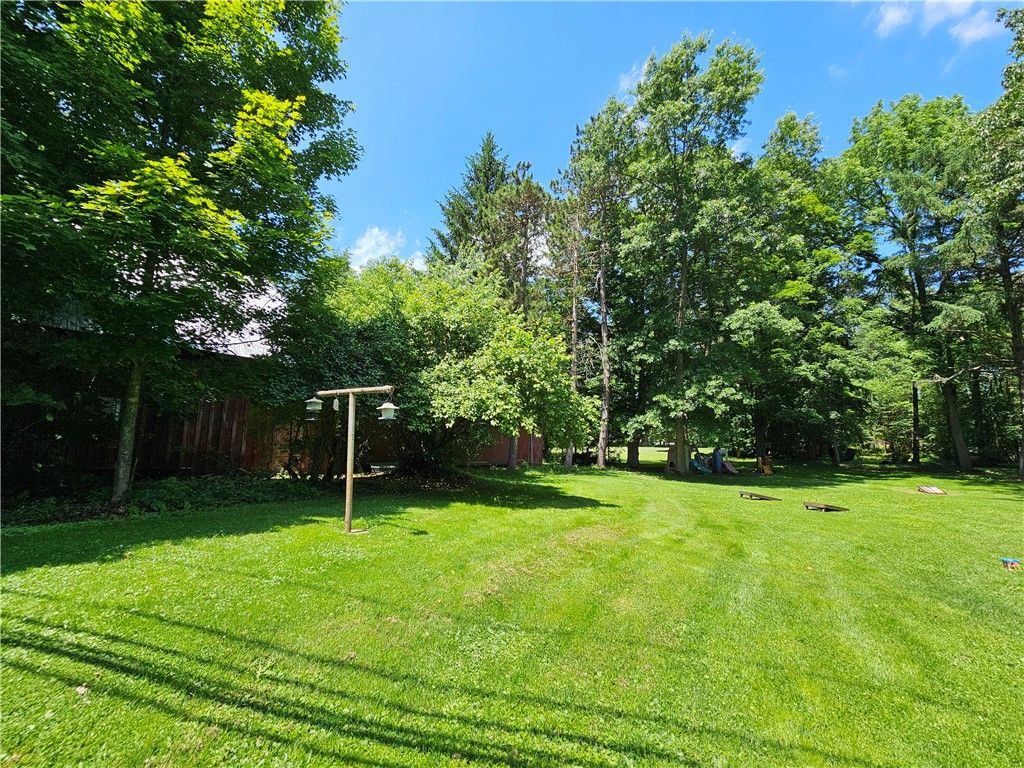 Backyard, Exterior, Playground