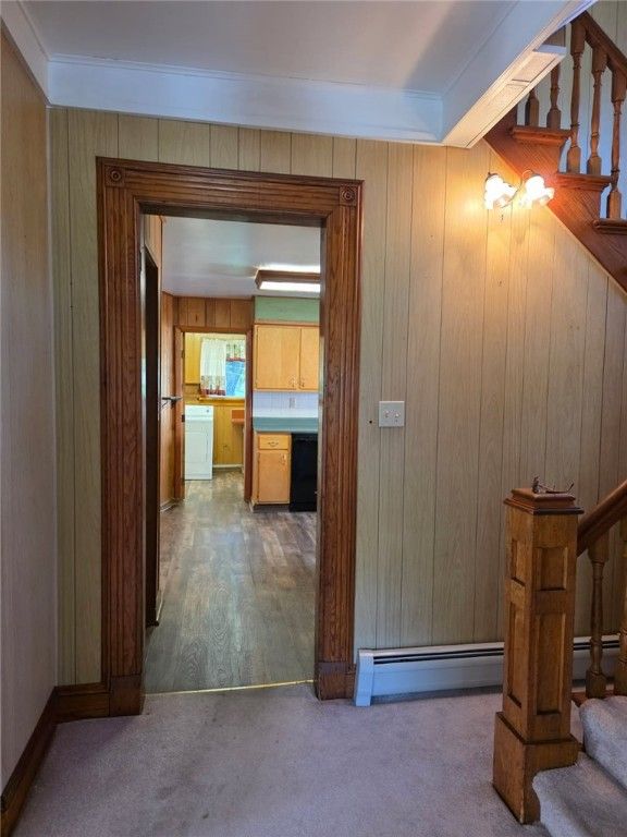 Interior, Kitchen, Wooden Walls