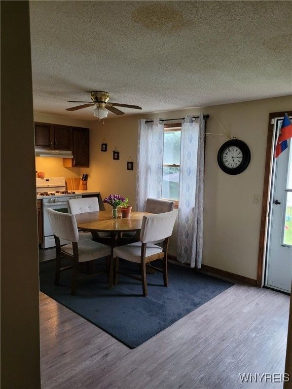 Dining room, Interior, Wood Texture Flooring
