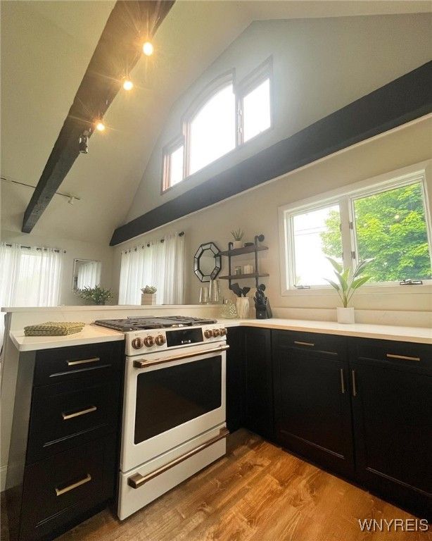 Interior, Kitchen, Wood Texture Flooring