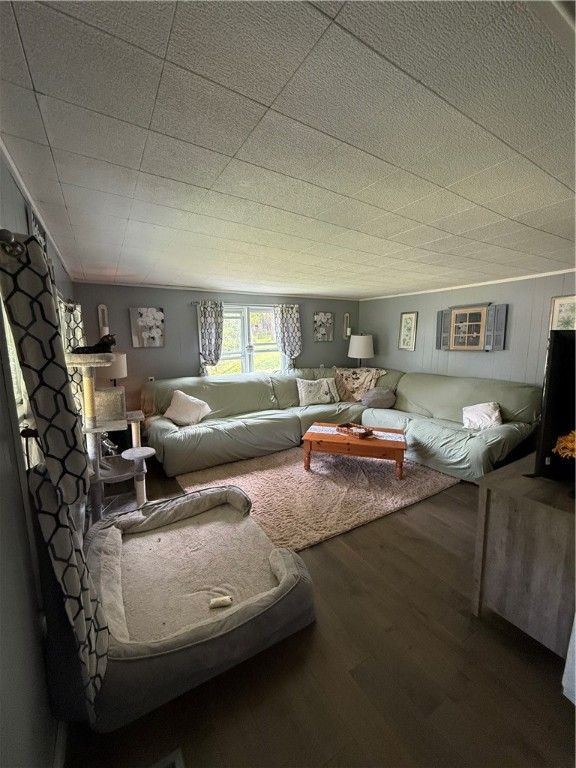 Interior, Living room, Wood Texture Flooring