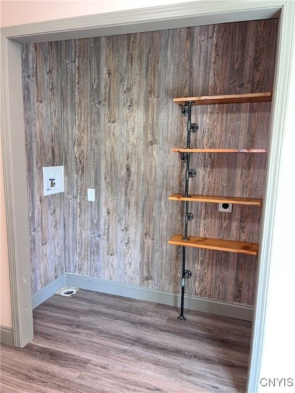 Interior, Wine Storage, Wood Texture Flooring, Wooden Walls