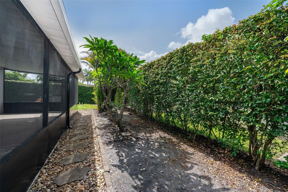 Backyard, Exterior