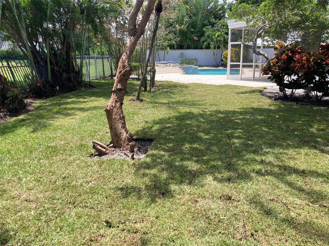 Backyard, Exterior, Pool