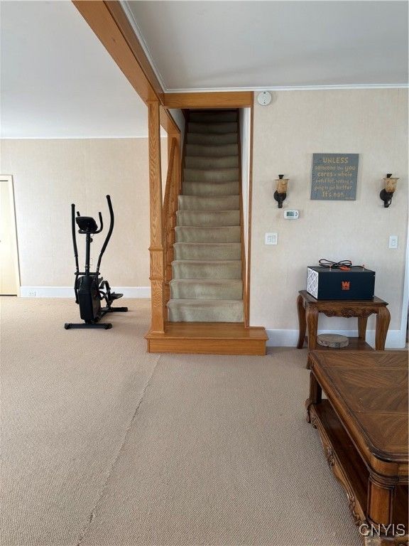 Fitness Equipment, Interior