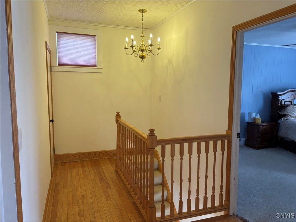 Chandelier, Interior, Wood Texture Flooring