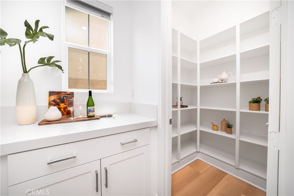 Interior, Walk-in Closets, Wood Texture Flooring