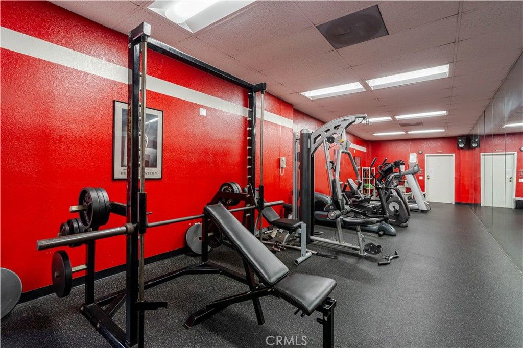 Fitness Equipment, Interior, Recessed Lighting