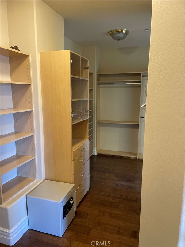 Interior, Walk-in Closets, Wood Texture Flooring