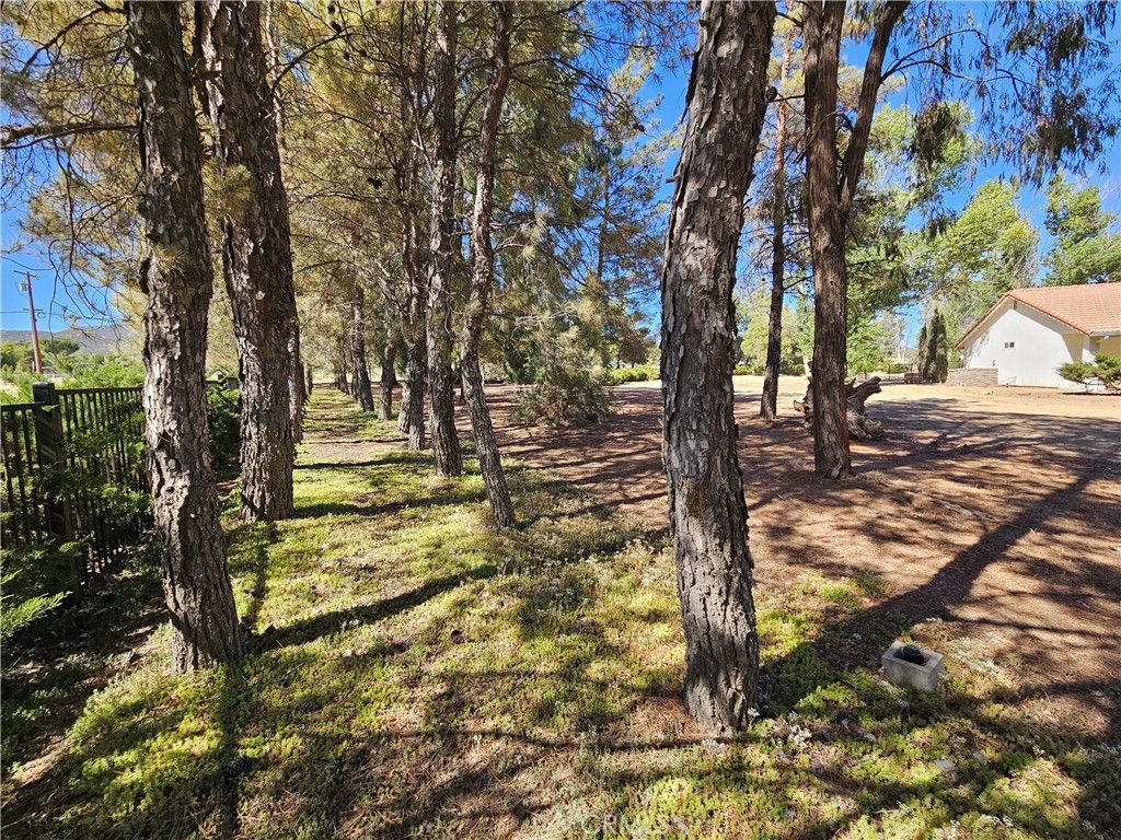 Backyard, Detached Garage, Exterior