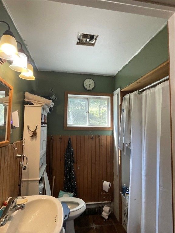 Bathroom, Interior, Wooden Walls