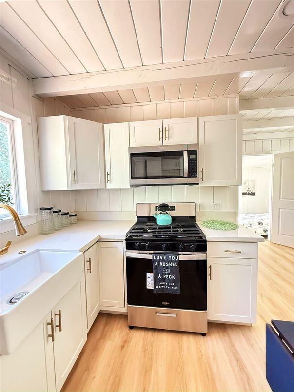Interior, Kitchen, Stainless Steel Appliances, Wood Texture Flooring