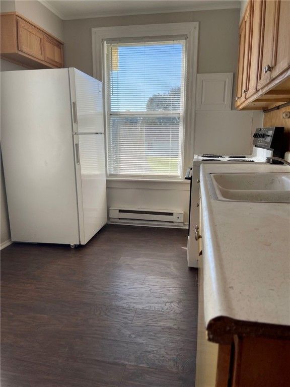 Interior, Kitchen, Wood Texture Flooring