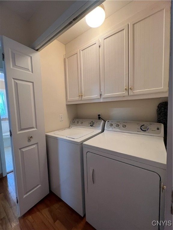 Interior, Washer, Wood Texture Flooring