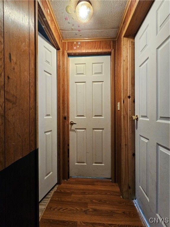 Interior, Wood Texture Flooring, Wooden Walls