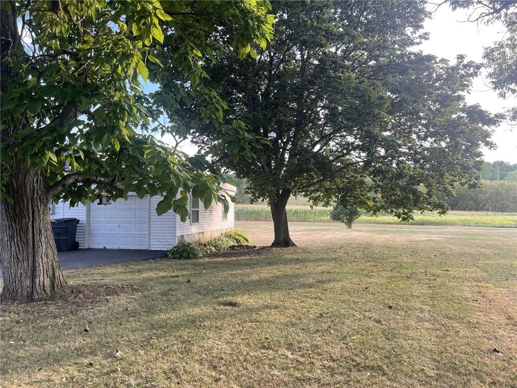 Backyard, Detached Garage, Exterior