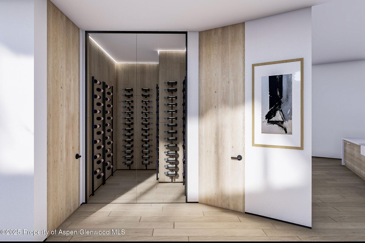 Interior, Wine Storage, Wood Texture Flooring