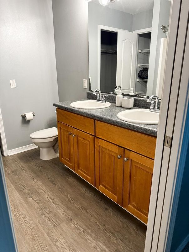 Bathroom, Dual Sink Vanities, Interior, Wood Texture Flooring