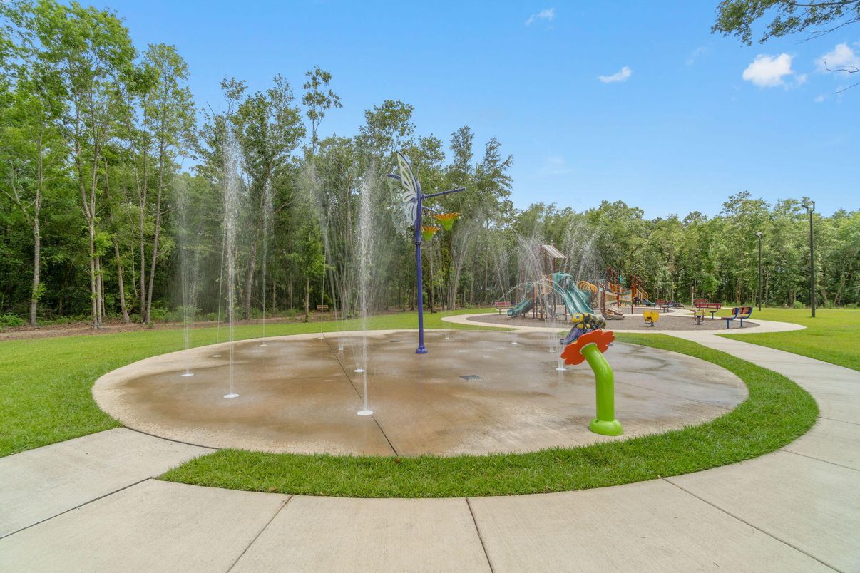 Backyard, Exterior, Playground