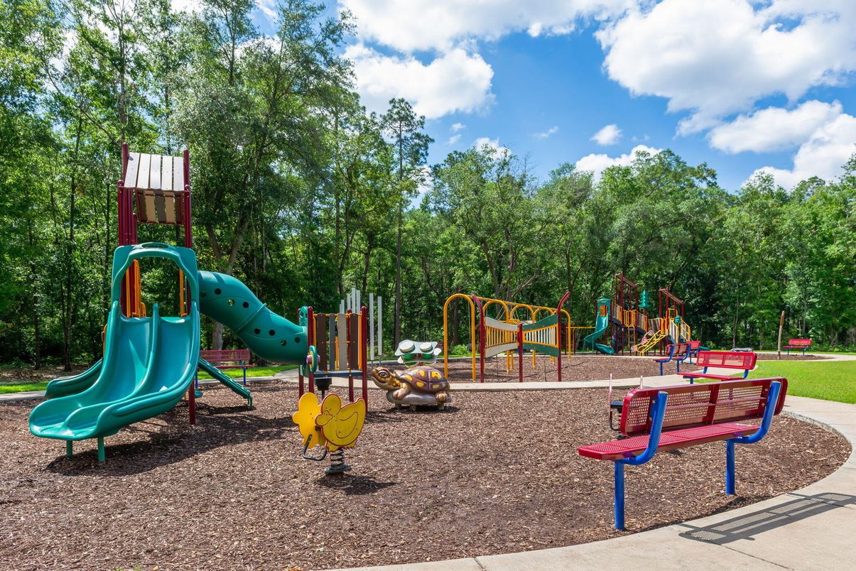 Backyard, Exterior, Playground