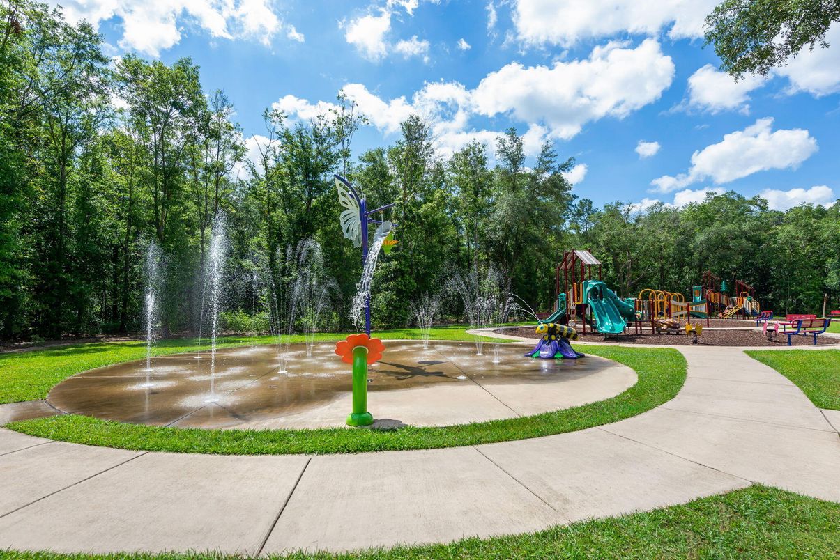 Backyard, Exterior, Playground
