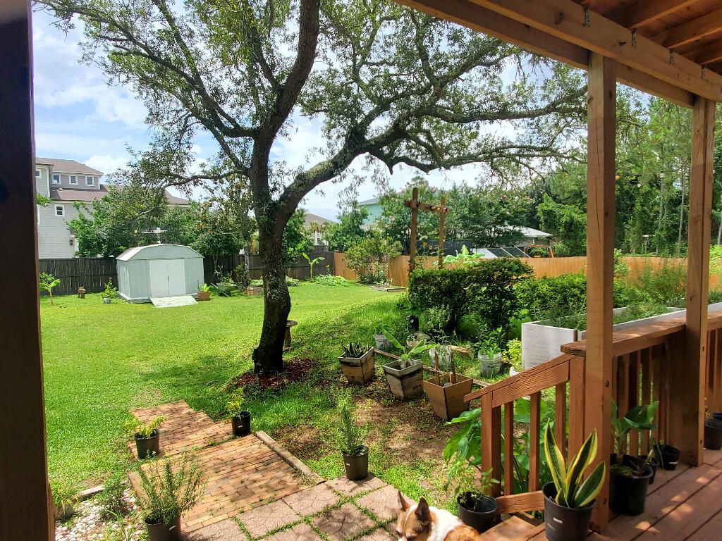 Backyard, Exterior