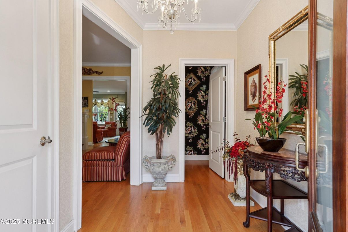 Chandelier, Interior, Wood Texture Flooring