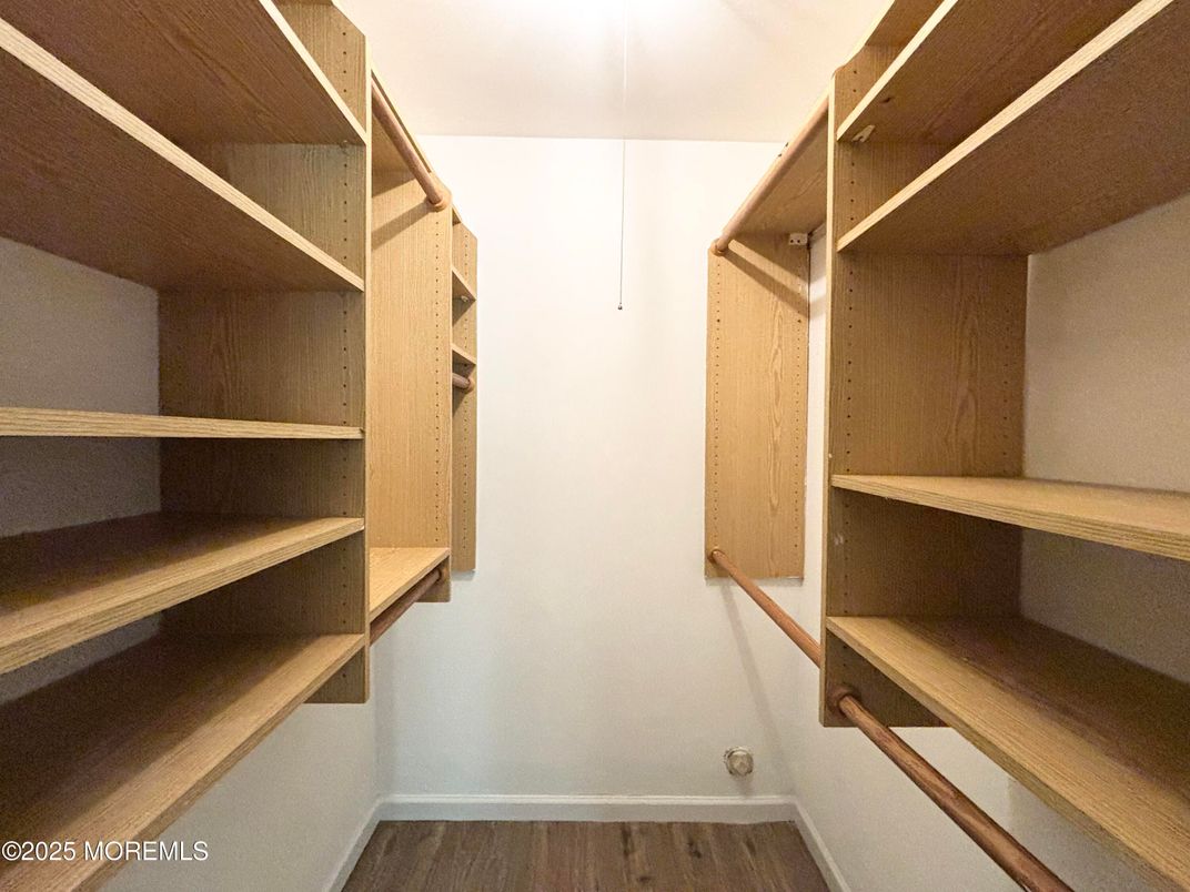 Interior, Walk-in Closets, Wood Texture Flooring