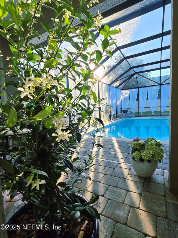 Glass Ceilings, Interior, Pool, Sun Room