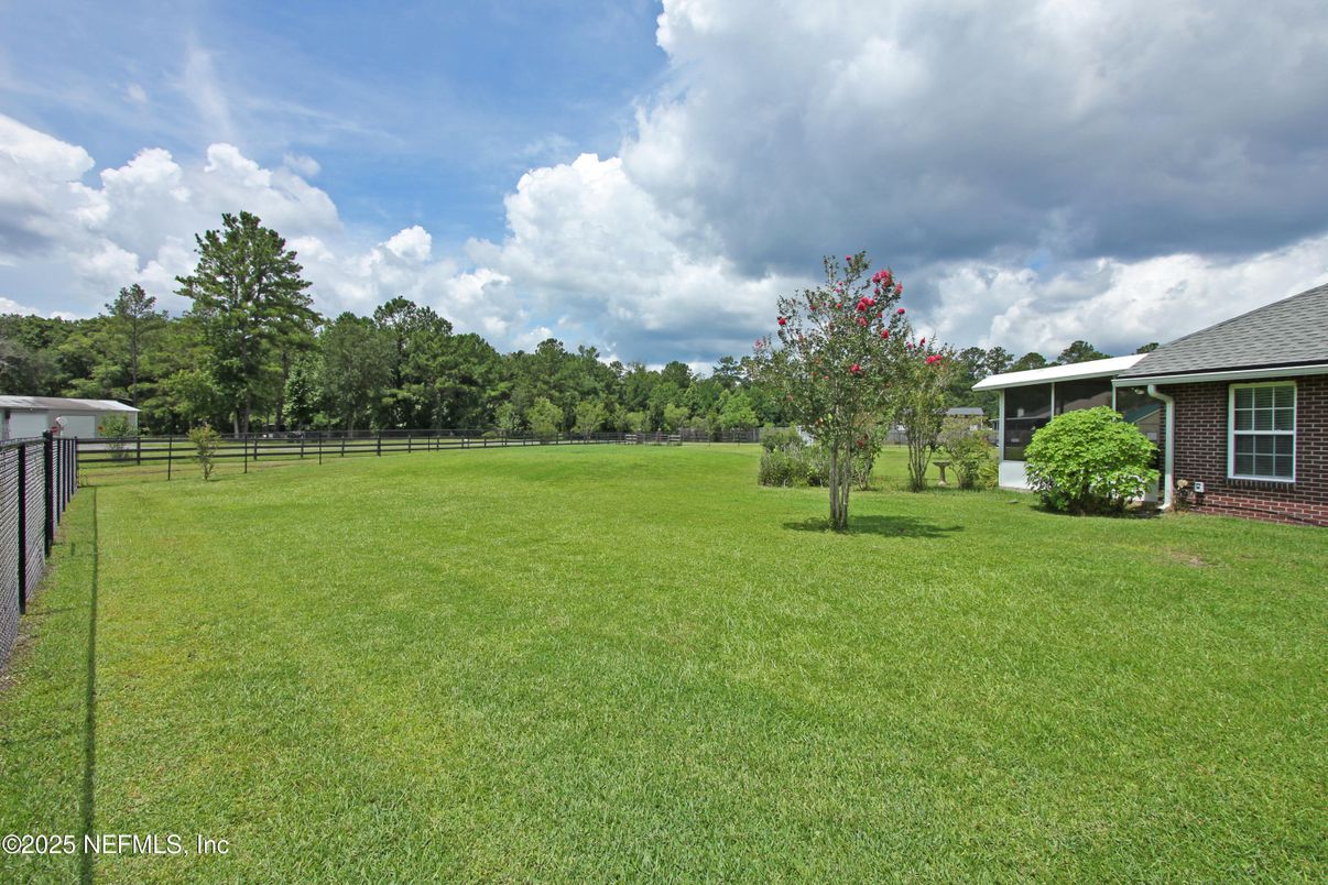 Backyard, Exterior