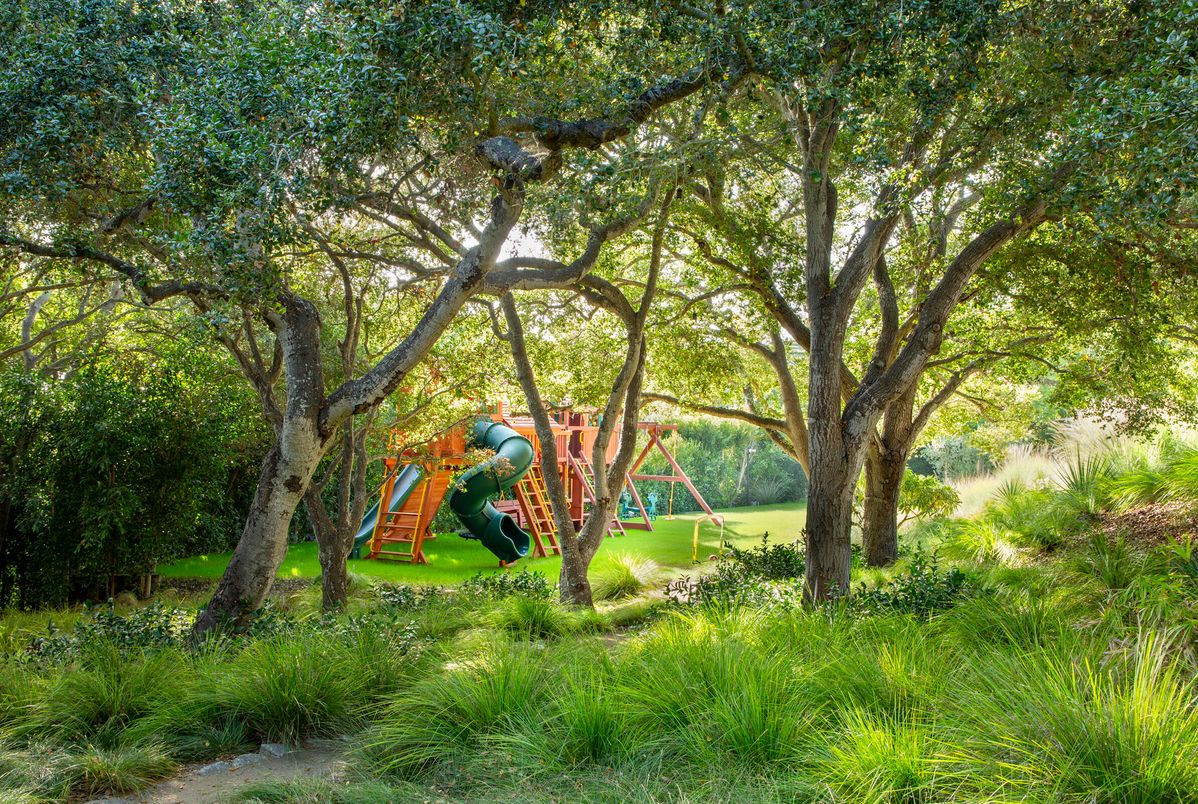 Backyard, Exterior, Playground